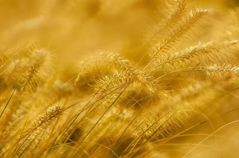 Tatilde Çekilen Fotoğrafları Daha Estetik Hale Getirmek İçin Kullanılabilecek İpuçları