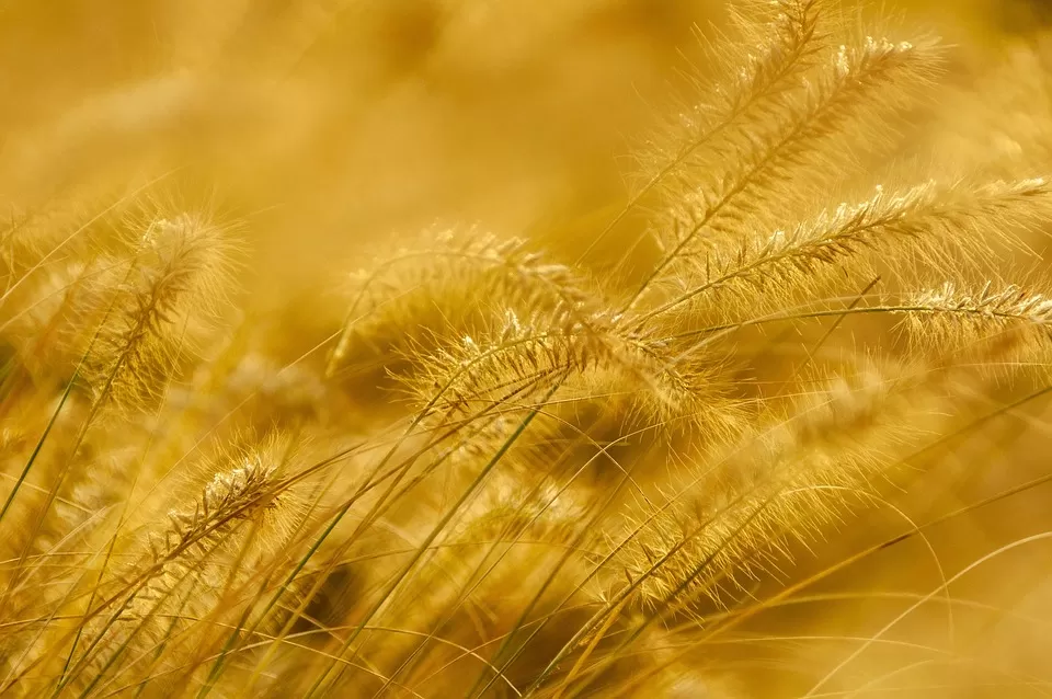 Tatilde Çekilen Fotoğrafları Daha Estetik Hale Getirmek İçin Kullanılabilecek İpuçları