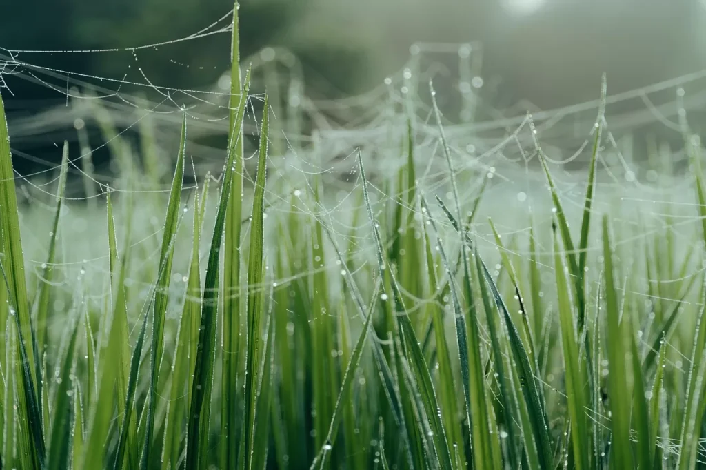 Müziğin Ruhsal Sağlık Üzerindeki Etkileri ve Mutlaka Dinlenmesi Gereken Albümler