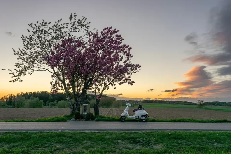 Blog veya Kurumsal Site Açarken WordPress mi Yoksa Farklı Platformlar mı Tercih Edilmeli?